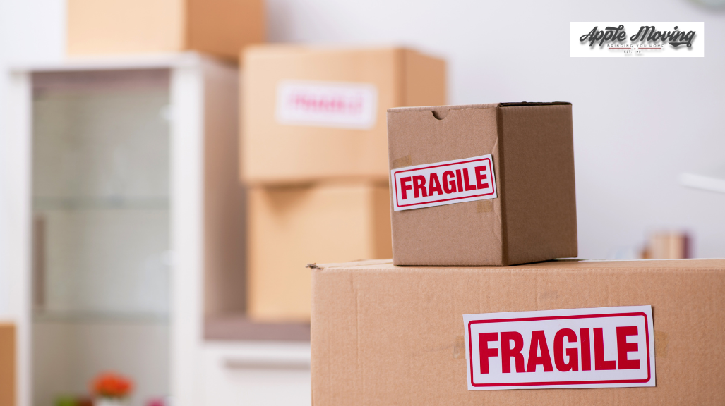 fragile boxes